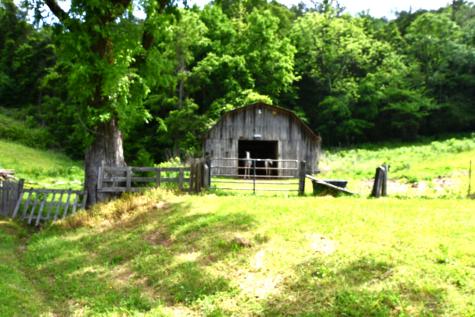 9073 Sherwood Road Sherwood TN 37376