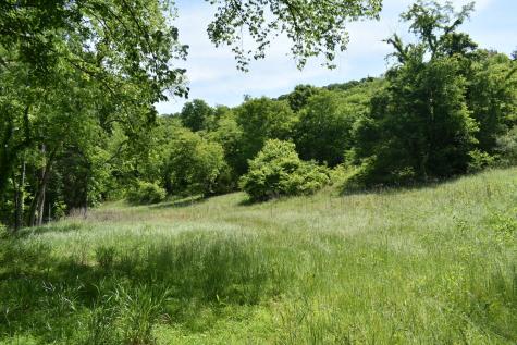 0 Brooks Bend Lane Gainesboro TN 38562