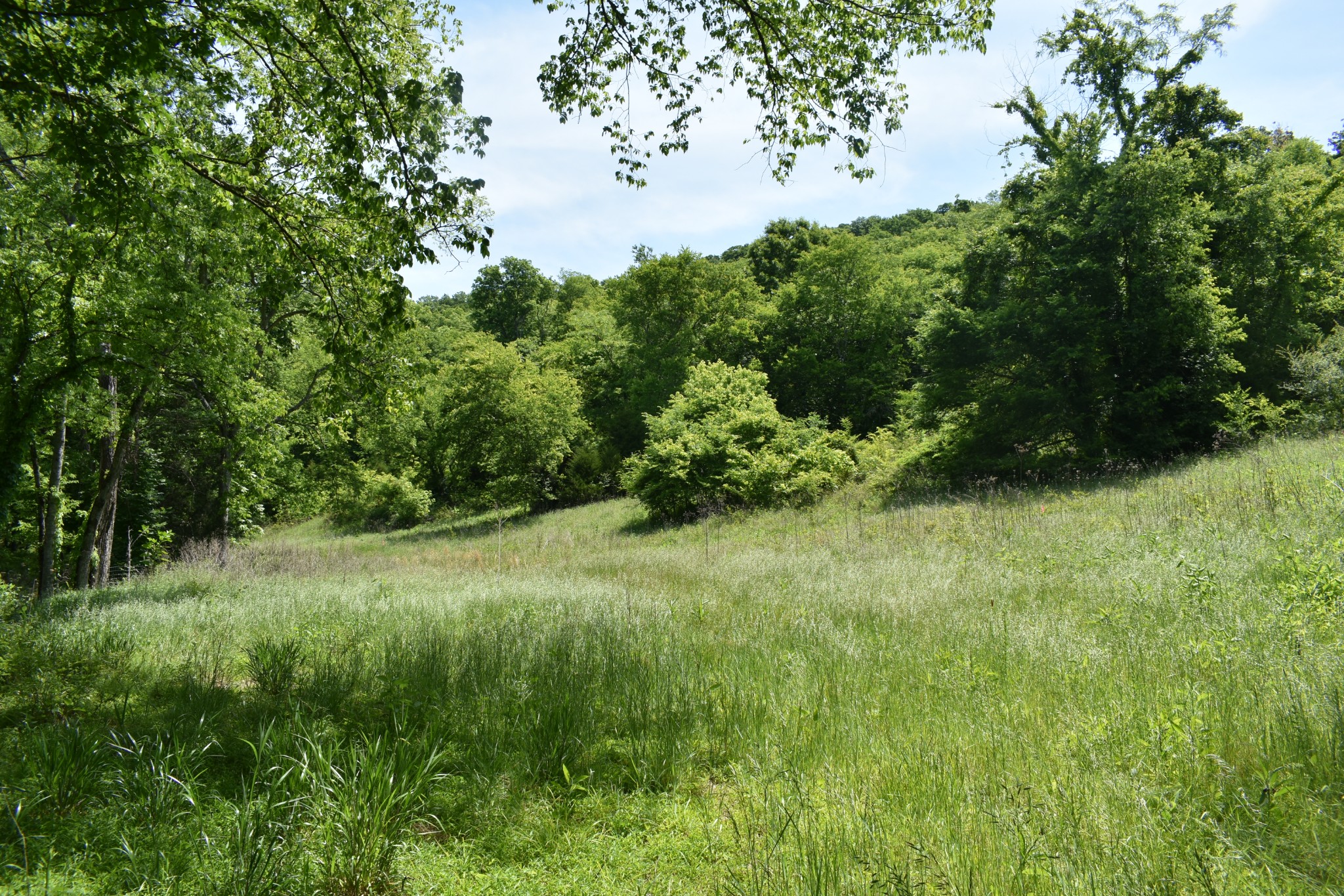 0 Brooks Bend Lane Gainesboro TN 38562