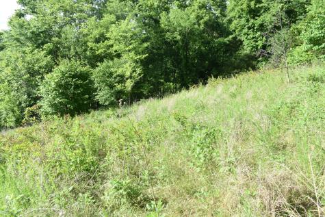 0 Brooks Bend Lane Gainesboro TN 38562