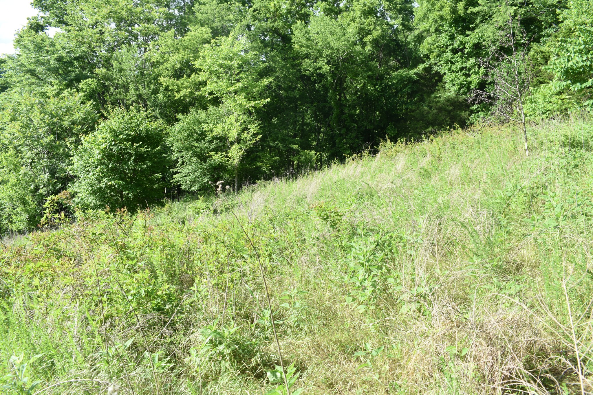 0 Brooks Bend Lane Gainesboro TN 38562