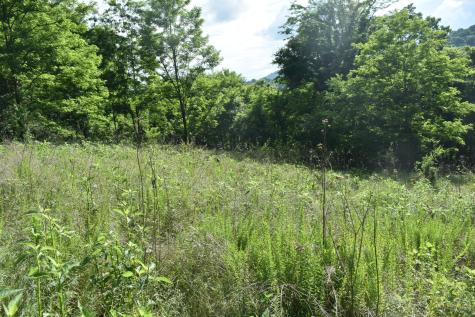 0 Brooks Bend Lane Gainesboro TN 38562