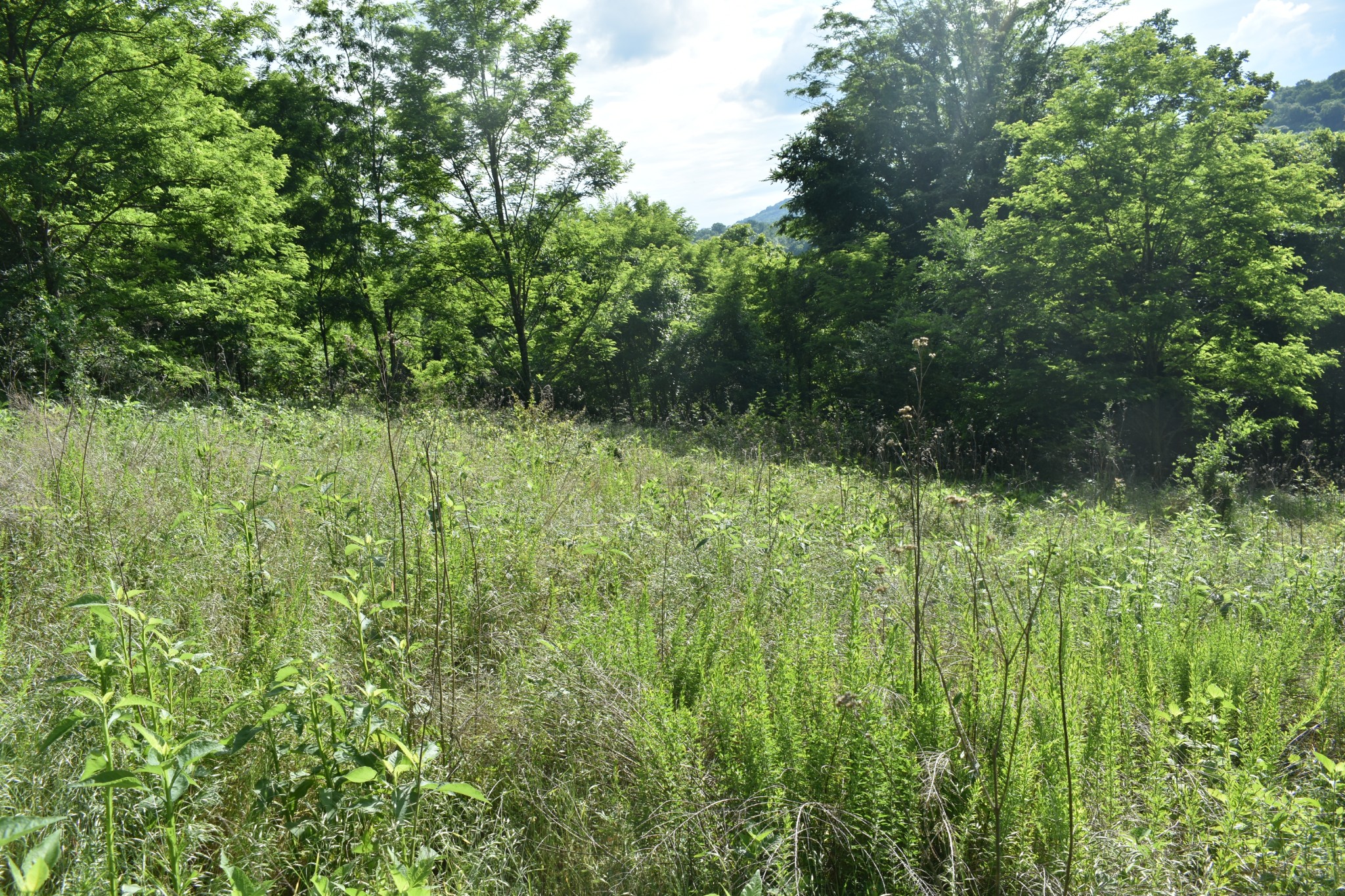 0 Brooks Bend Lane Gainesboro TN 38562