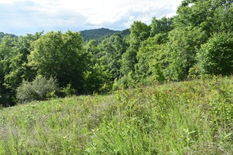 0 Brooks Bend Lane Gainesboro TN 38562