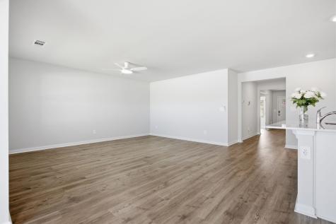1343 Grassy Plains Pass Lewisburg TN 37091