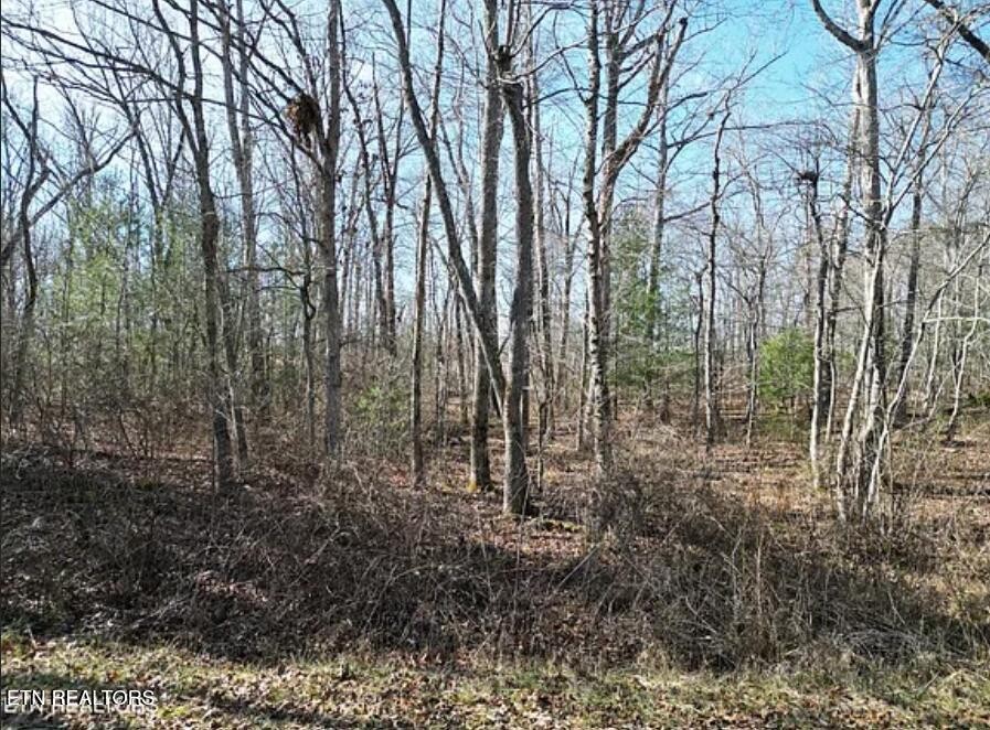 1102 Chanute Trail Crossville TN 38572