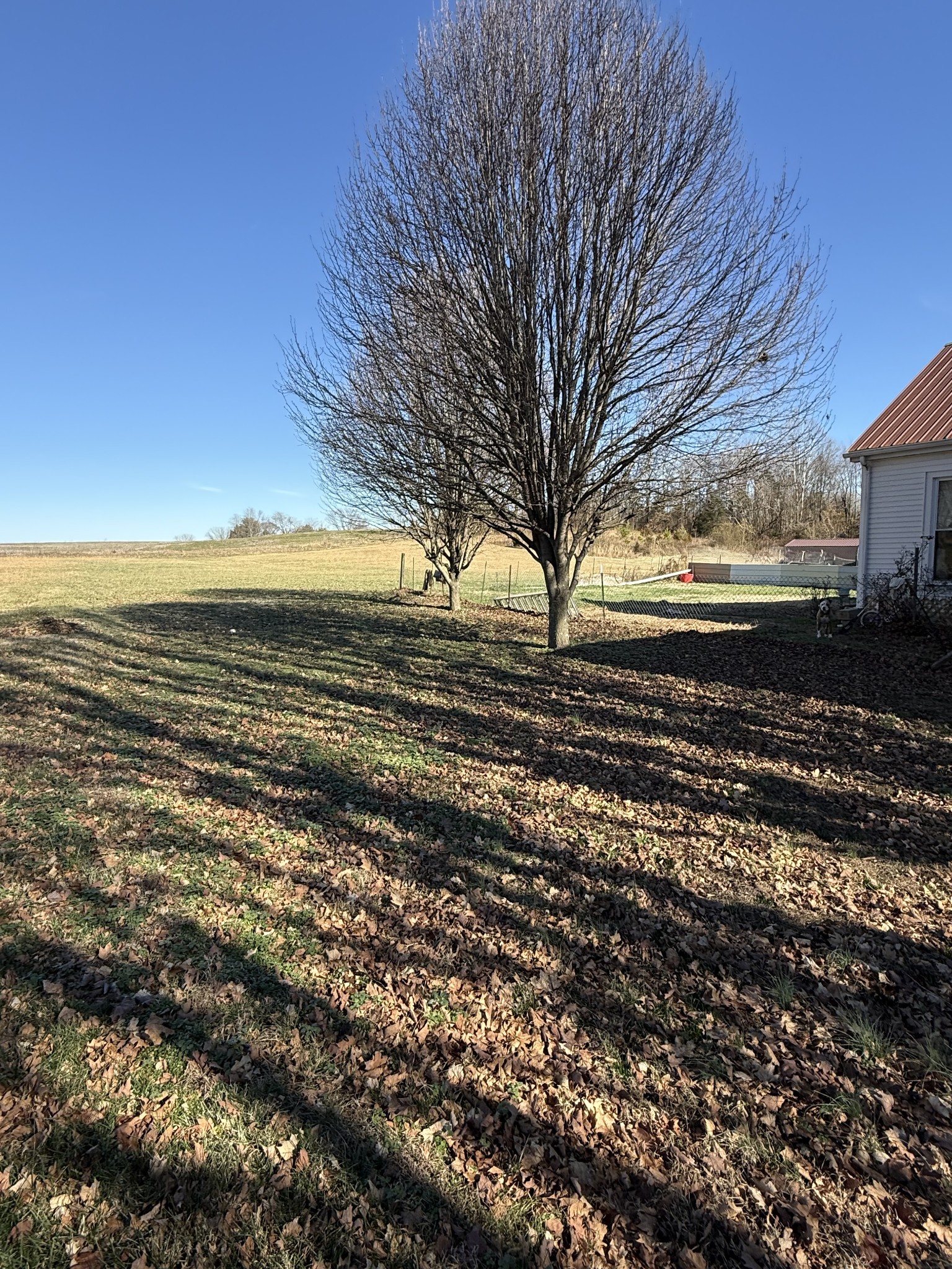 820 Highway 52 East, E Portland TN 37148
