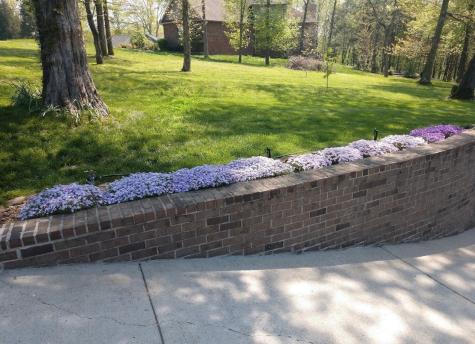 308 Cedar Hollow Court Lebanon TN 37087
