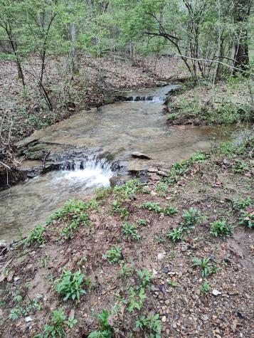 308 Cedar Hollow Court Lebanon TN 37087