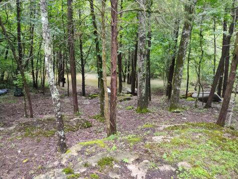 308 Cedar Hollow Court Lebanon TN 37087
