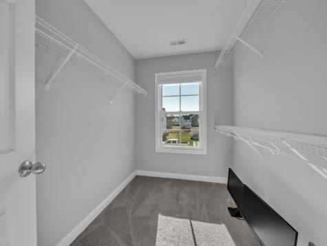 537 Bloomington Trace Clarksville TN 37042