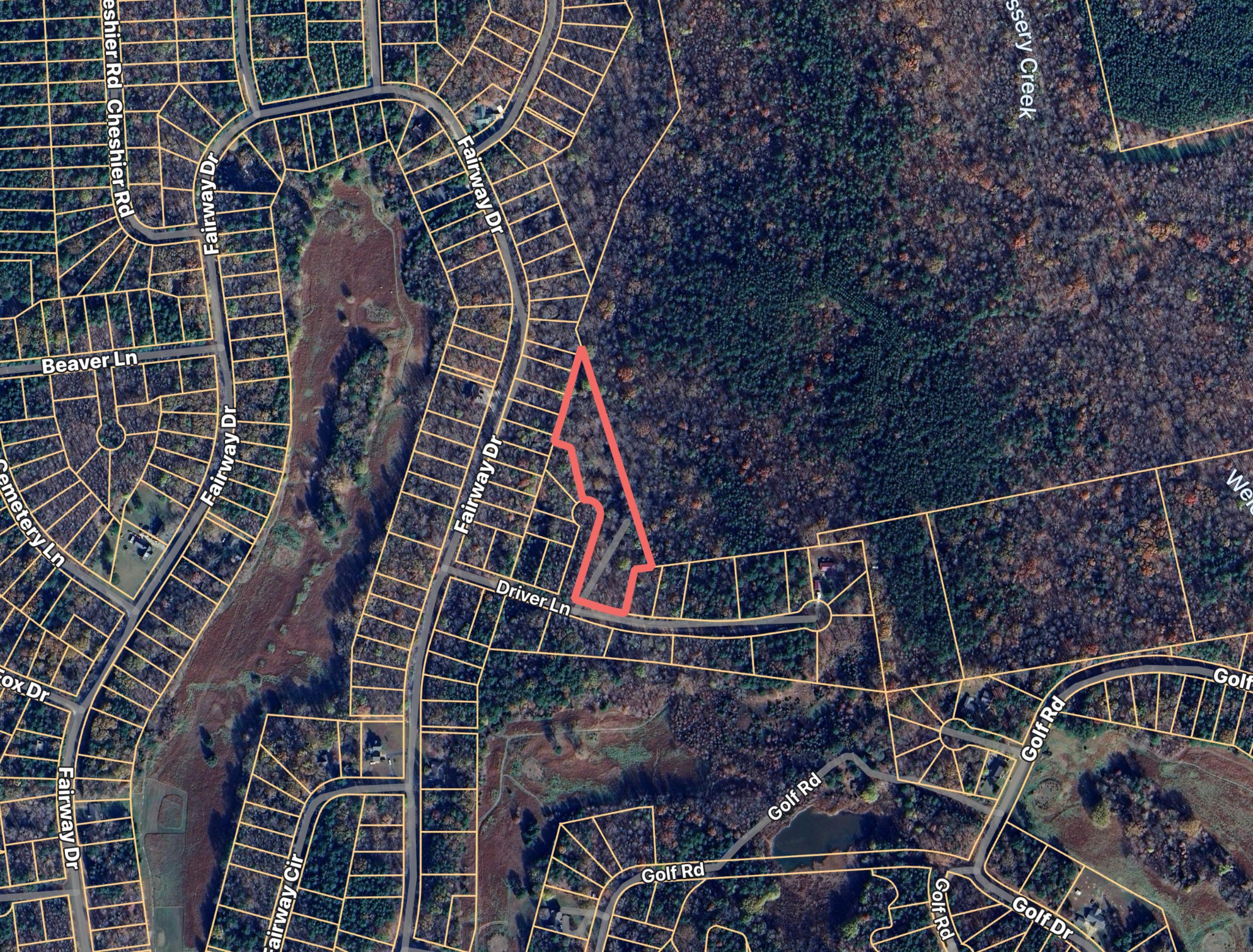 1083 Driver Cove Saulsbury TN 38067