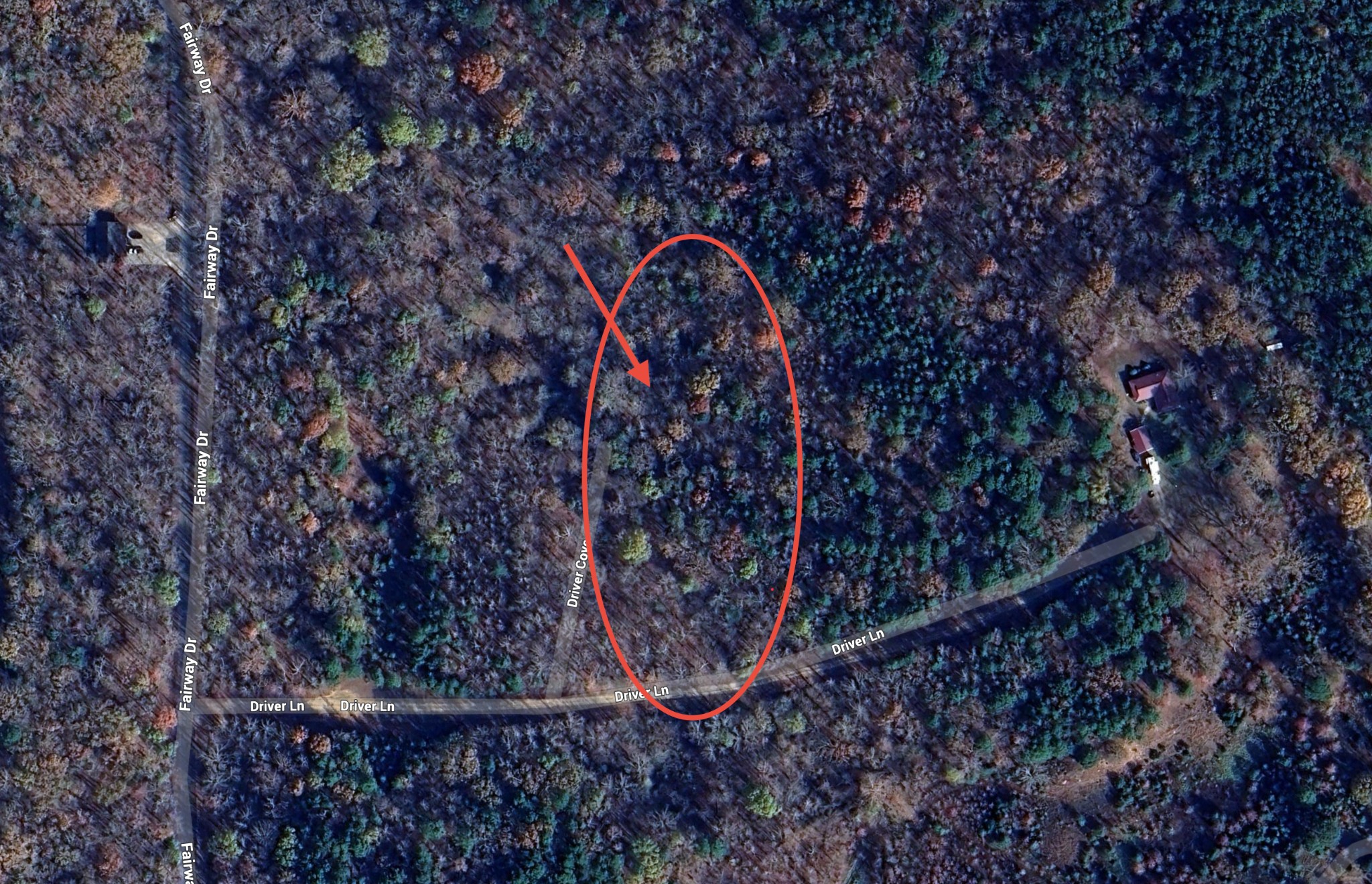 1083 Driver Cove Saulsbury TN 38067