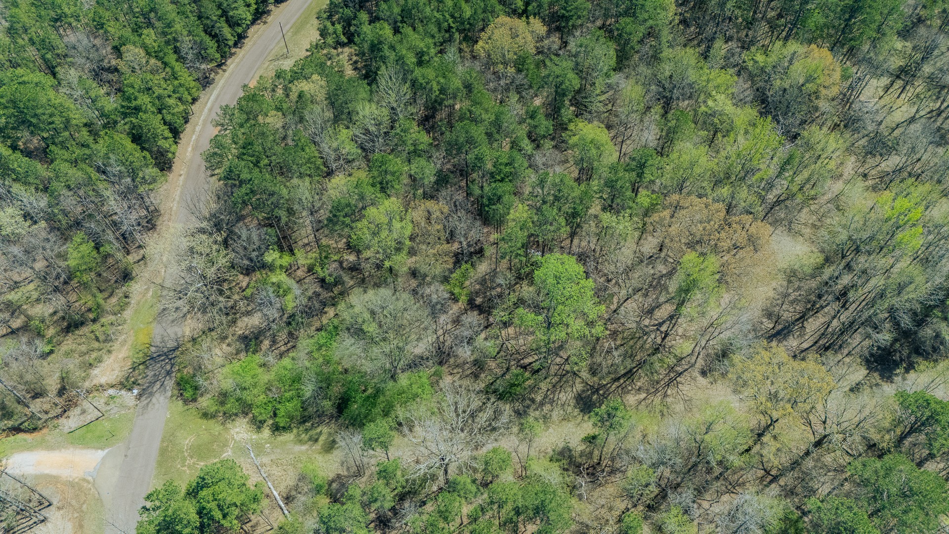 1083 Driver Cove Saulsbury TN 38067