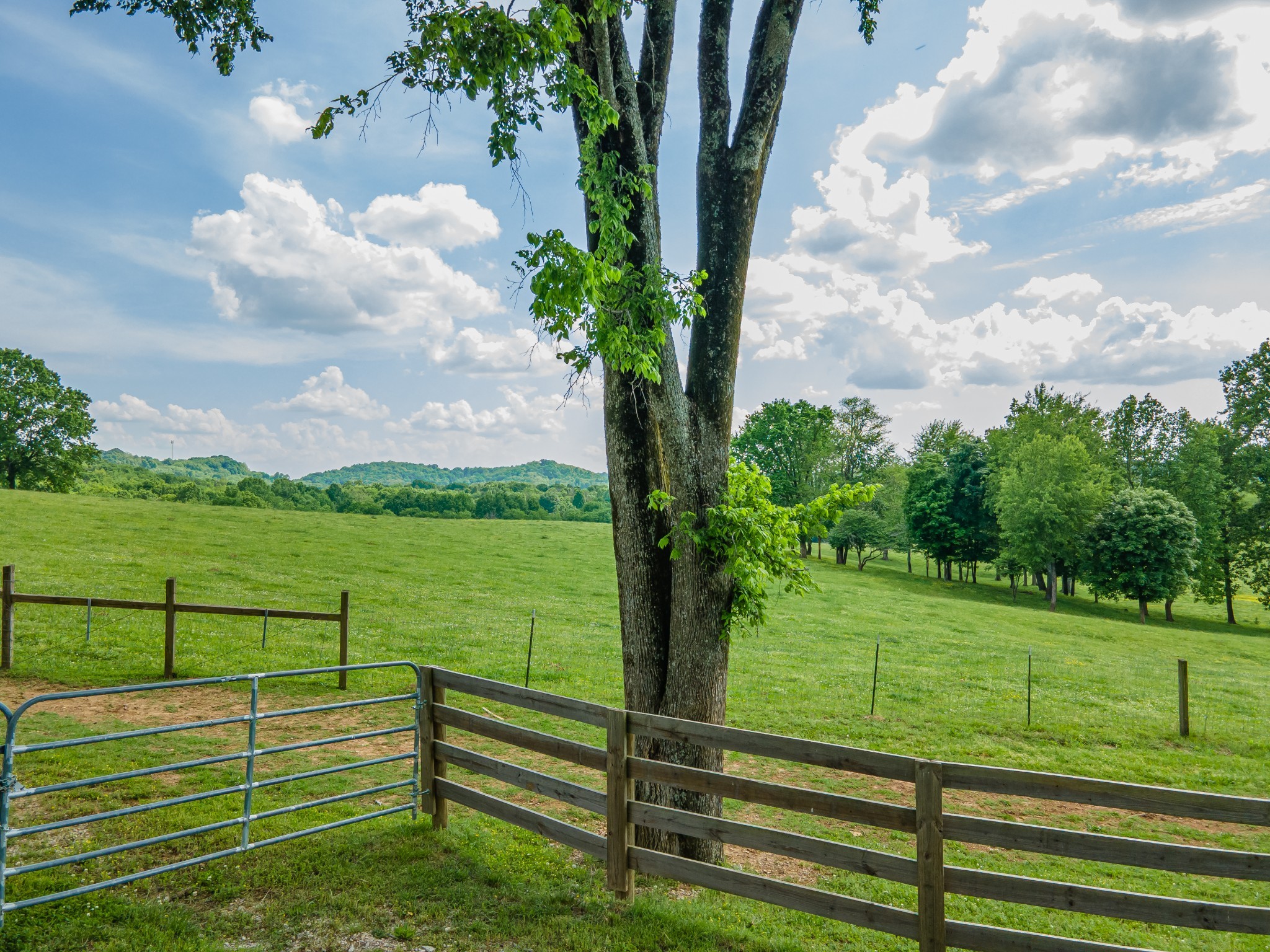4000 Cantebury Drive Culleoka TN 38451