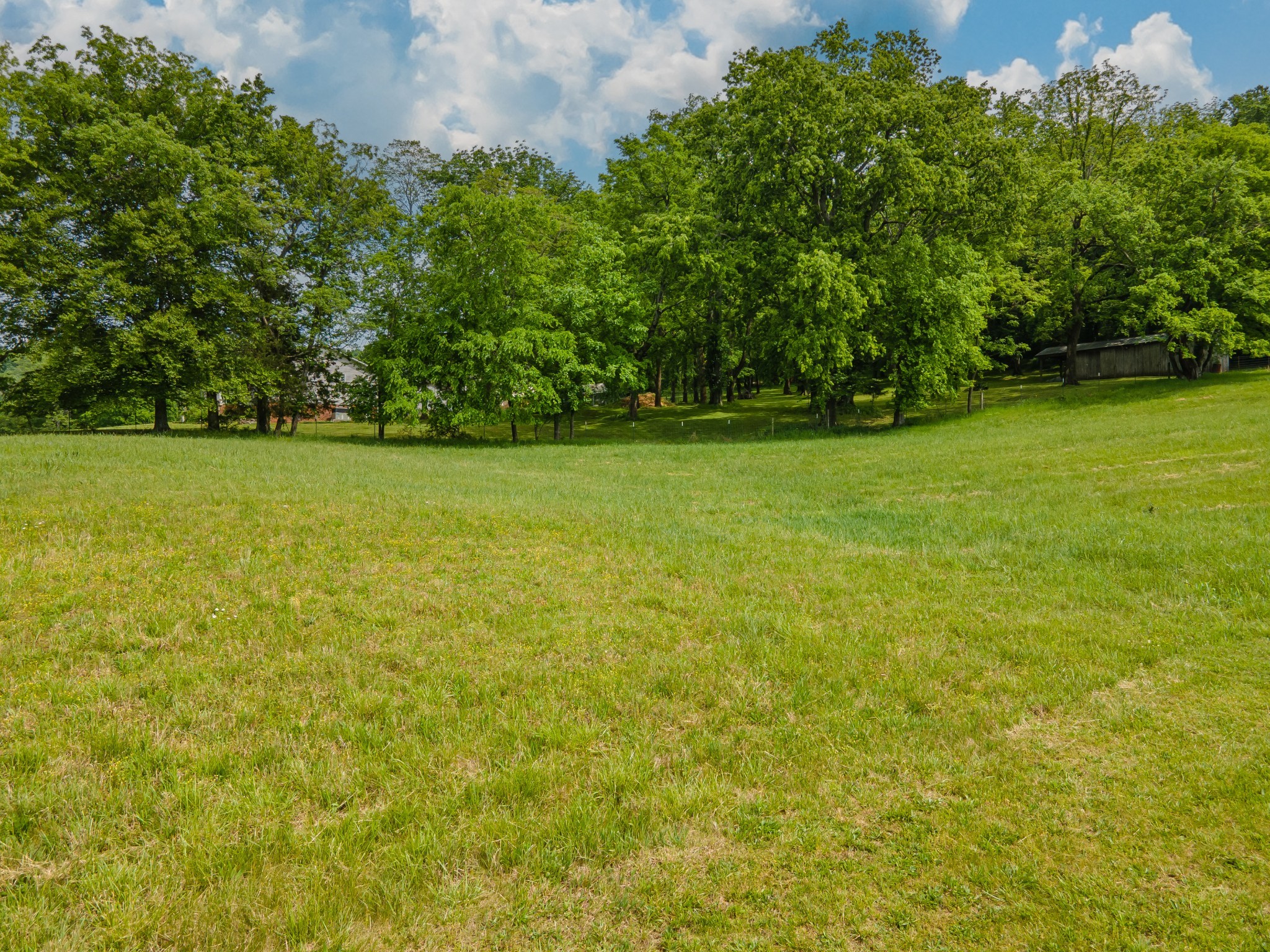 4000 Cantebury Drive Culleoka TN 38451
