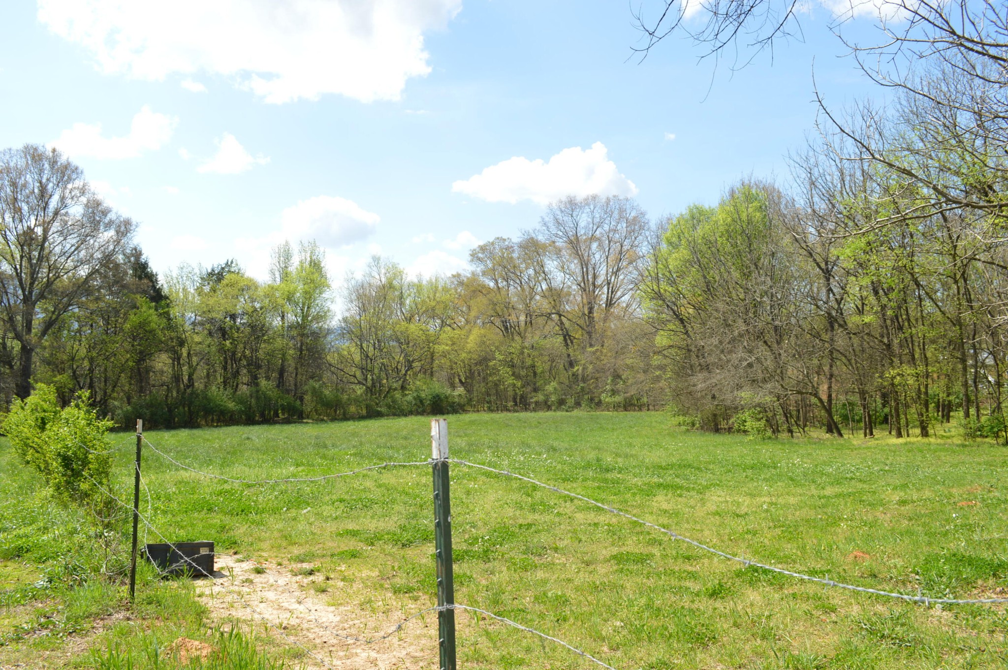 158 Needle Eye Lane Delano TN 37325