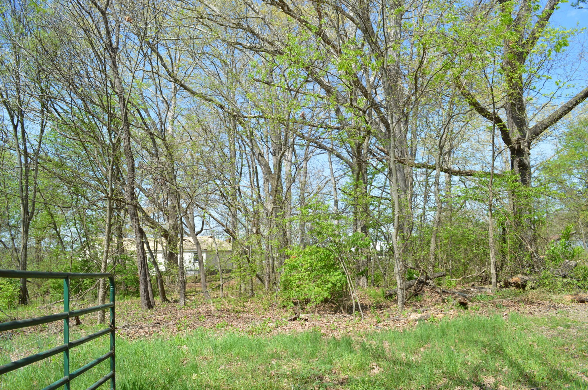 158 Needle Eye Lane Delano TN 37325