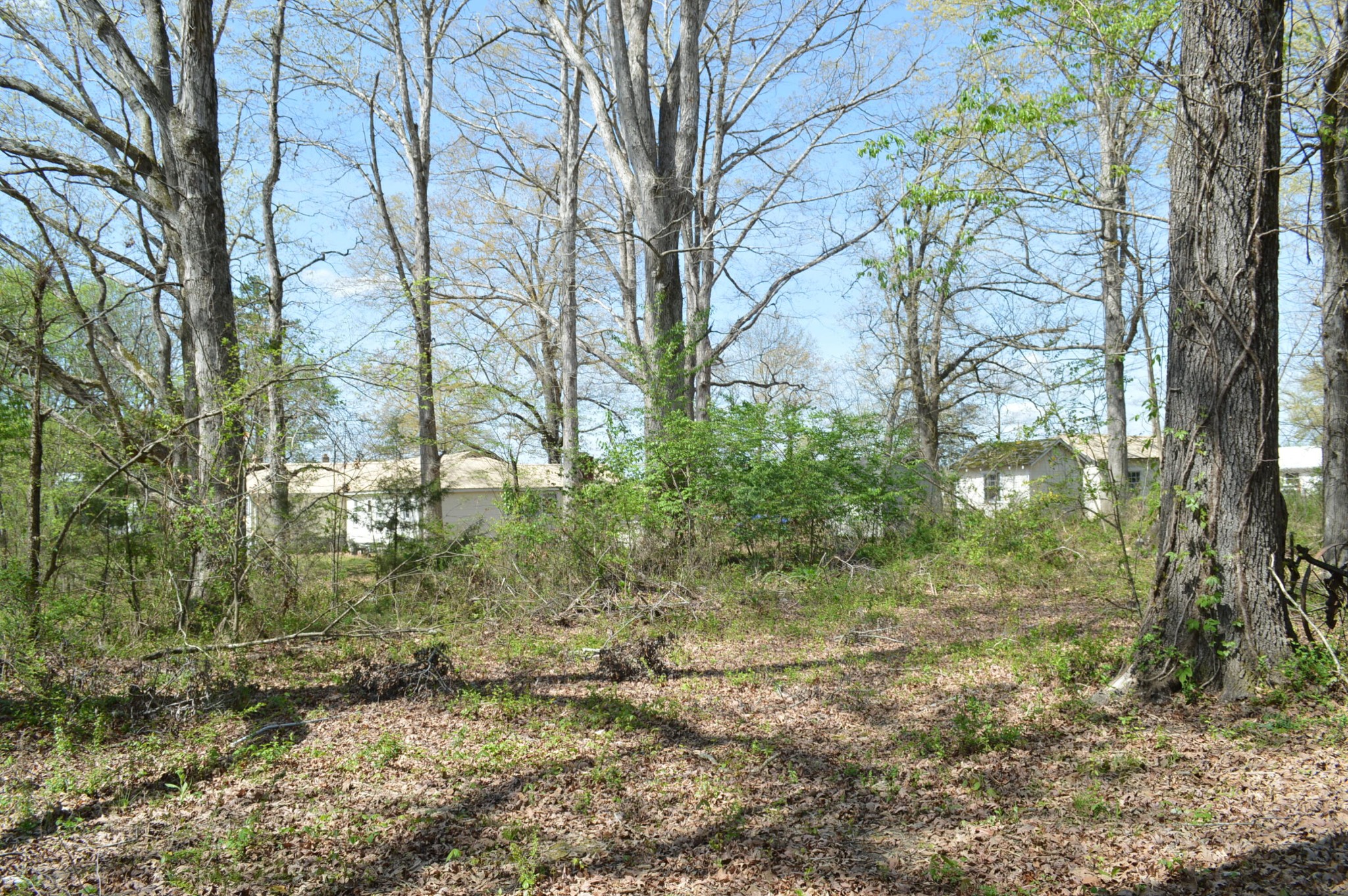 158 Needle Eye Lane Delano TN 37325