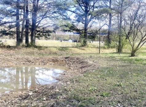 200 Brown Town Road Waverly TN 37185