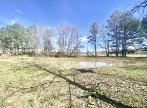 200 Brown Town Road Waverly TN 37185