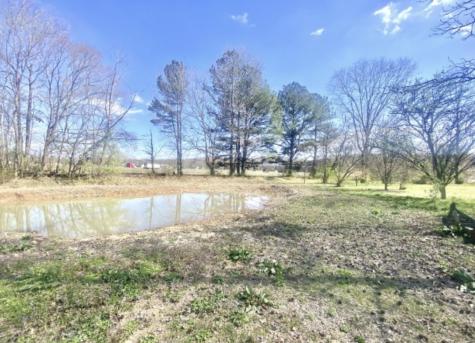 200 Brown Town Road Waverly TN 37185