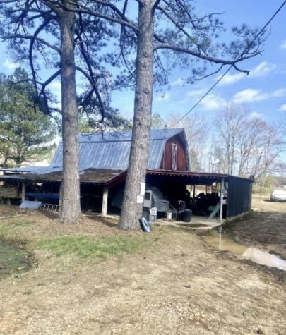 200 Brown Town Road Waverly TN 37185