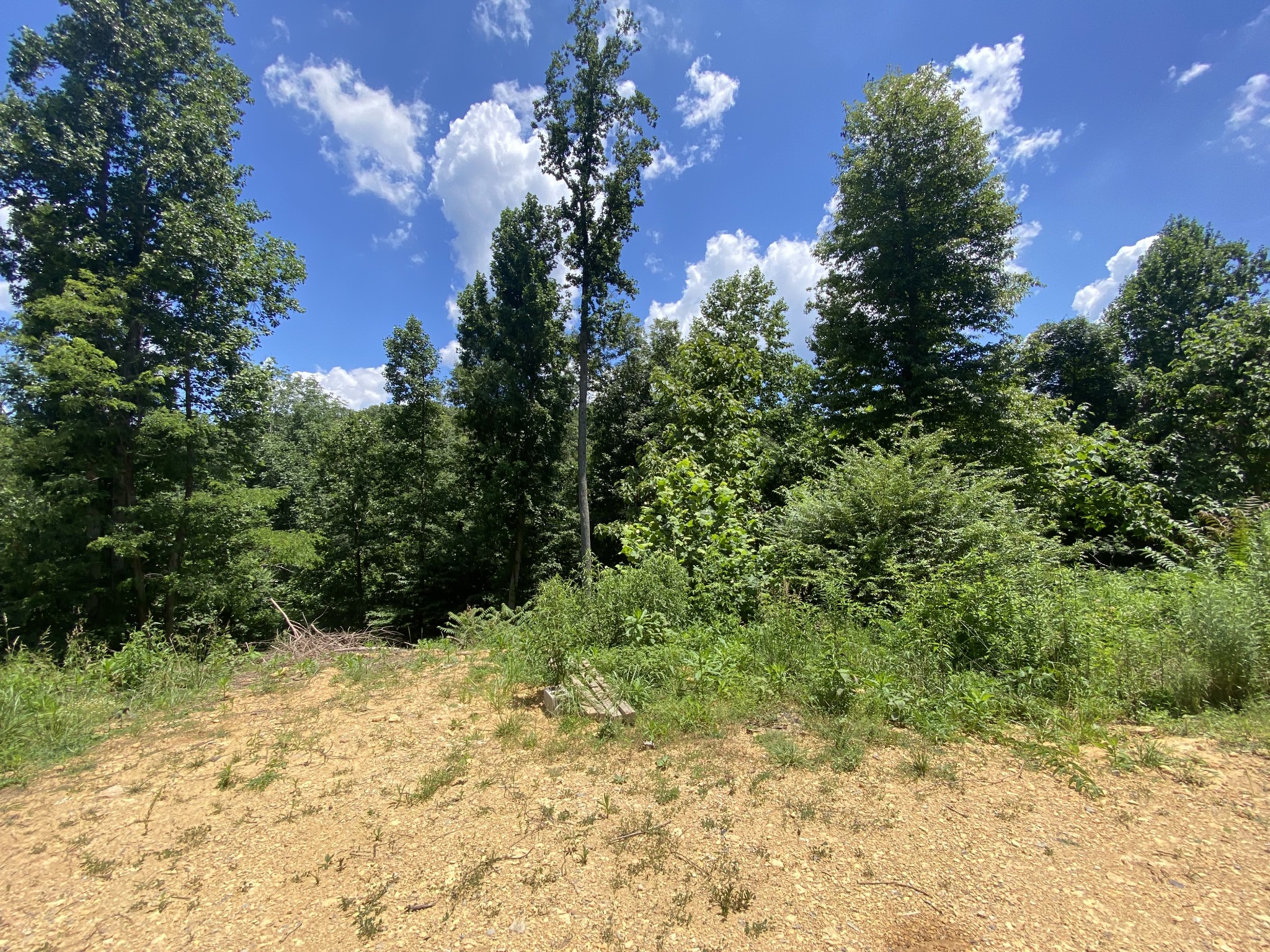 5032 Ridge Hill Drive Joelton TN 37080