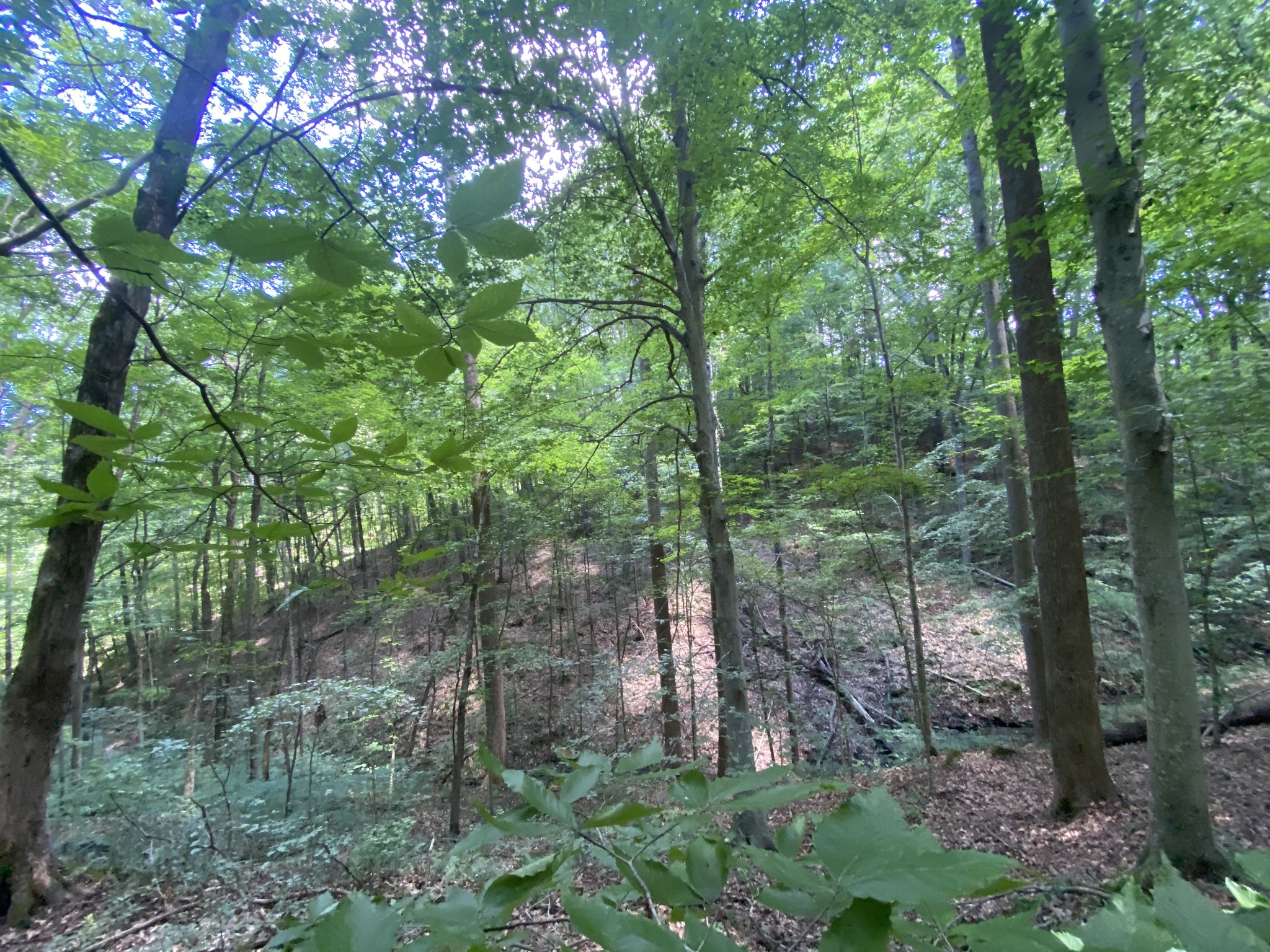 5032 Ridge Hill Drive Joelton TN 37080
