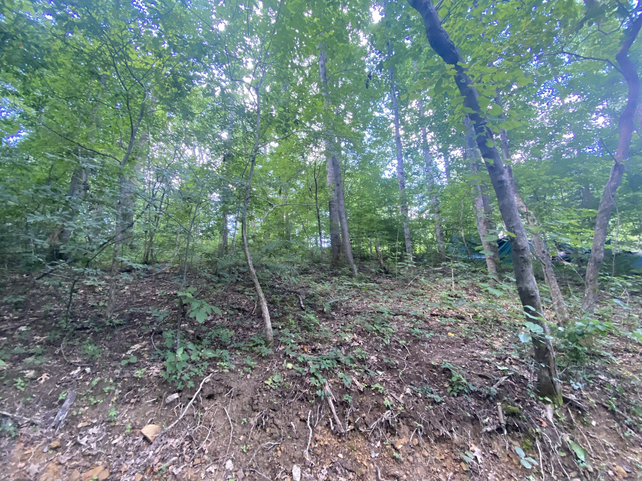 5032 Ridge Hill Drive Joelton TN 37080