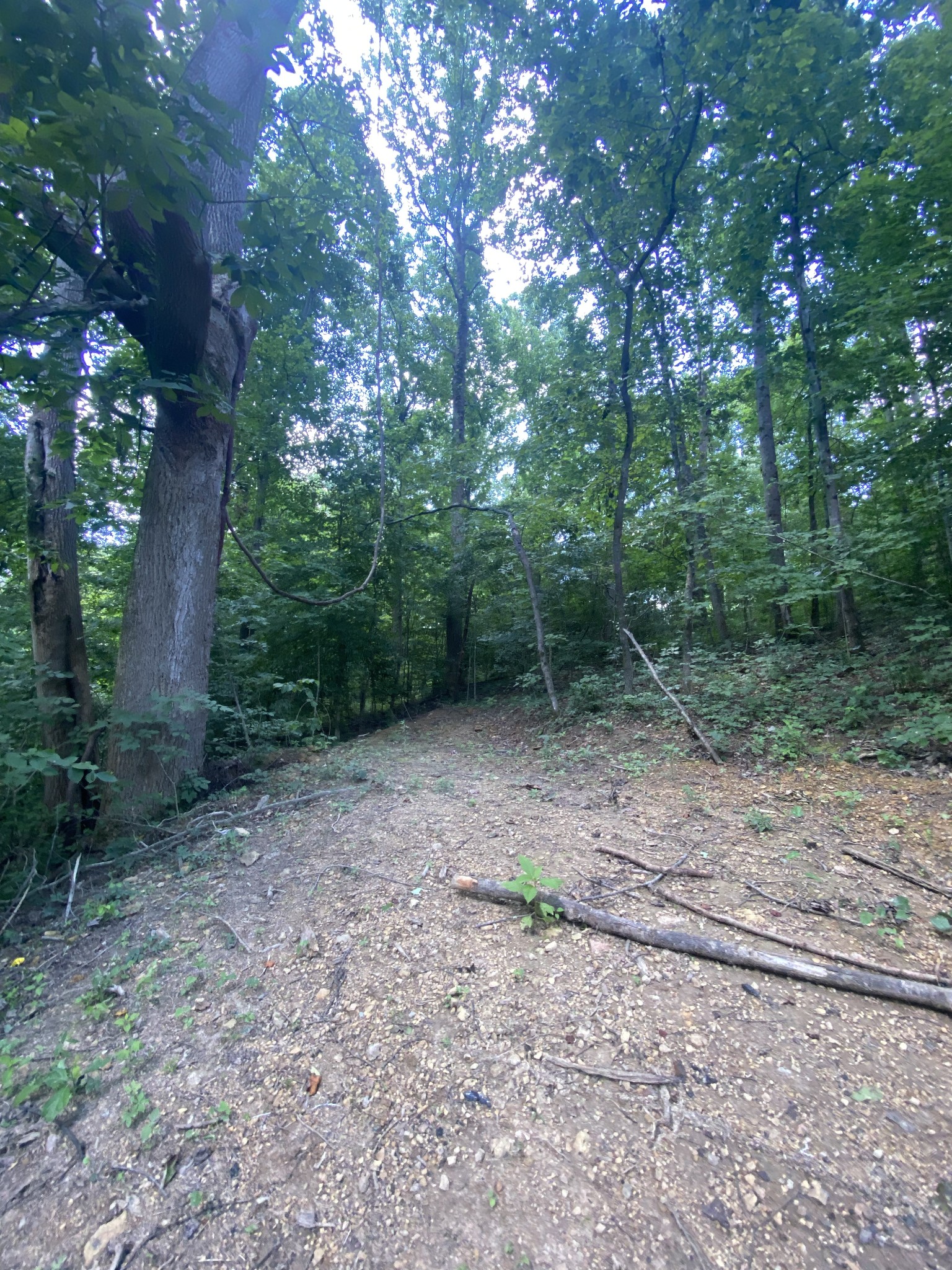 5032 Ridge Hill Drive Joelton TN 37080