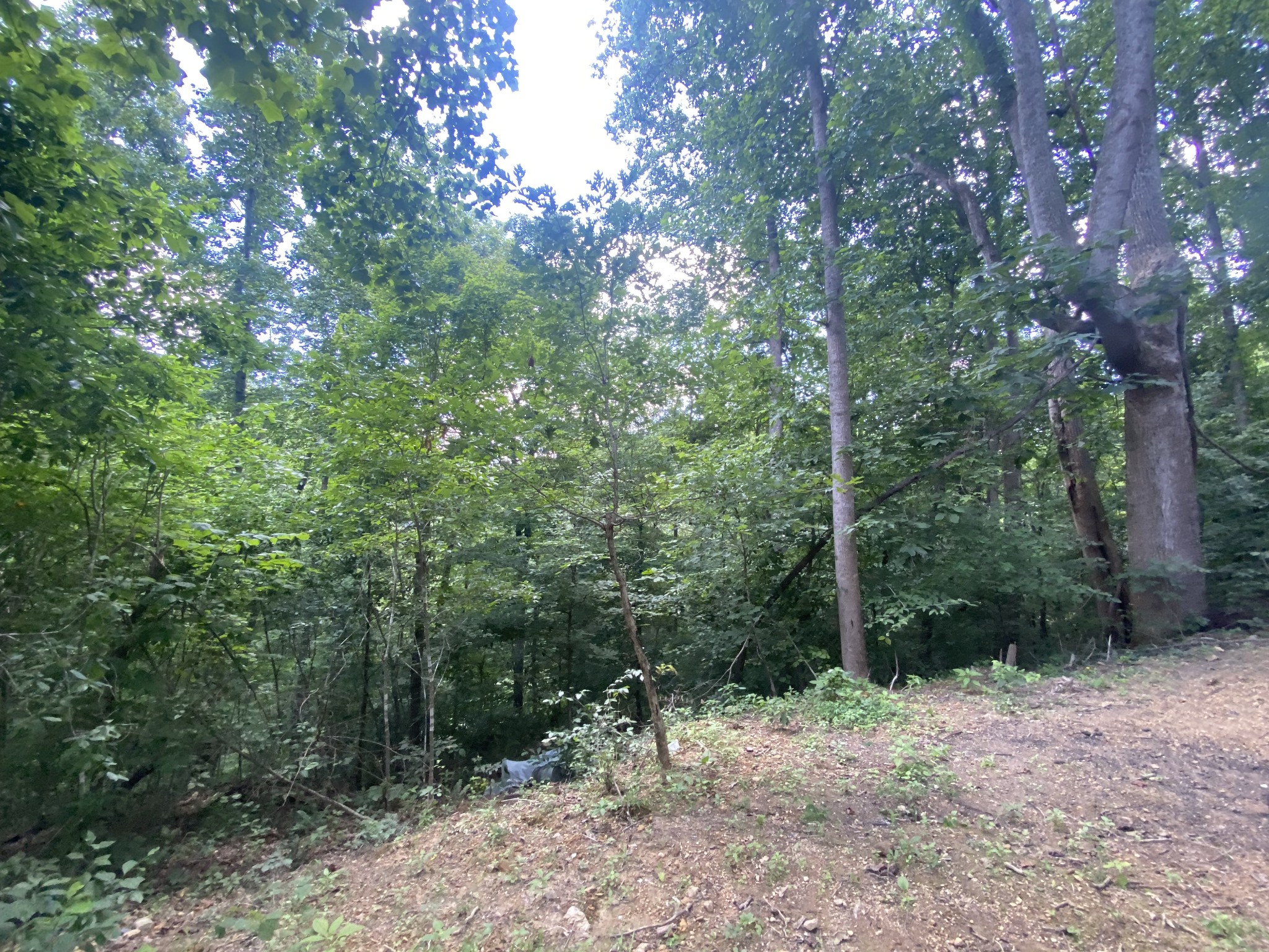 5032 Ridge Hill Drive Joelton TN 37080