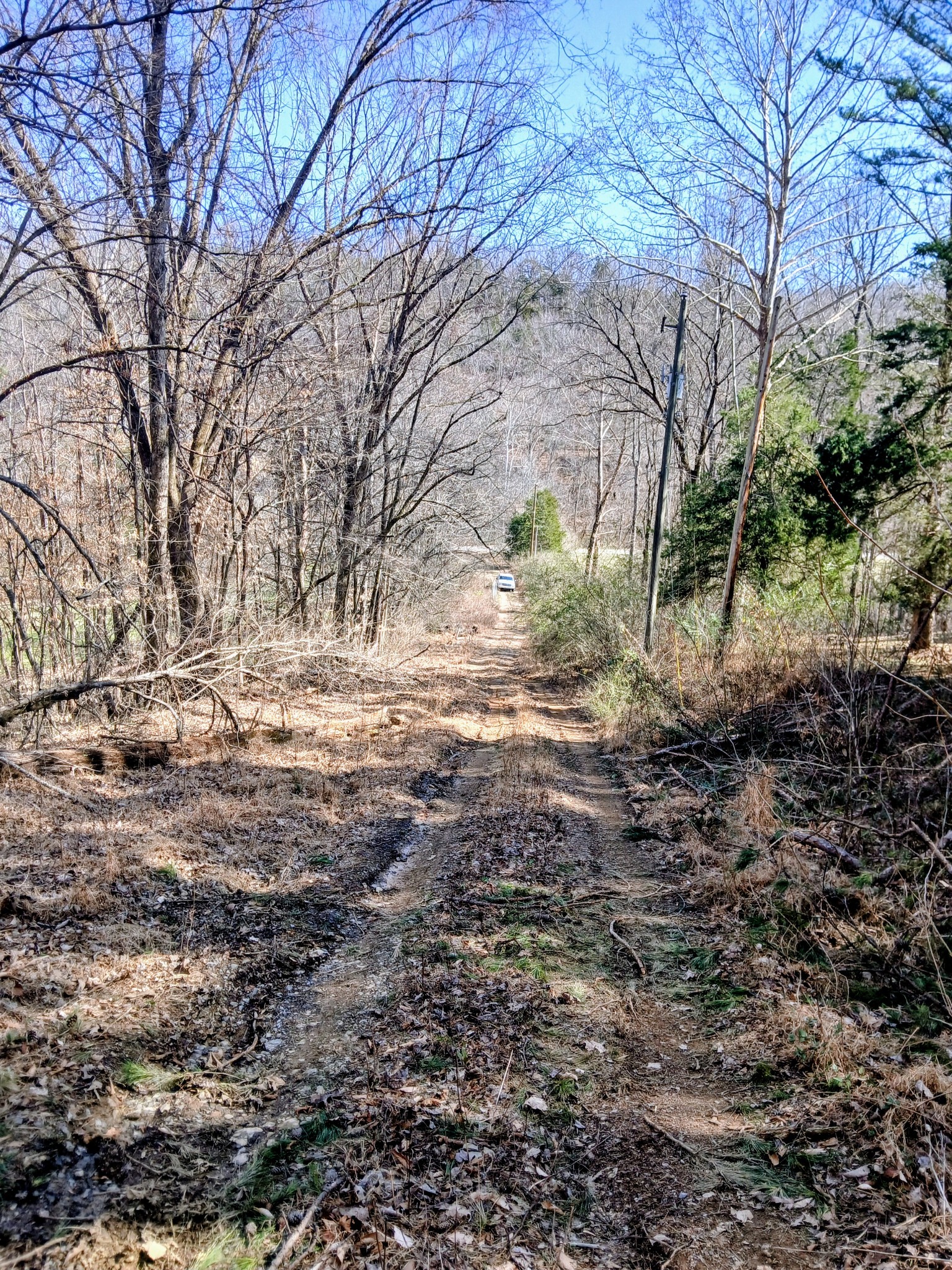 1014 Indian Springs Road Pegram TN 37143