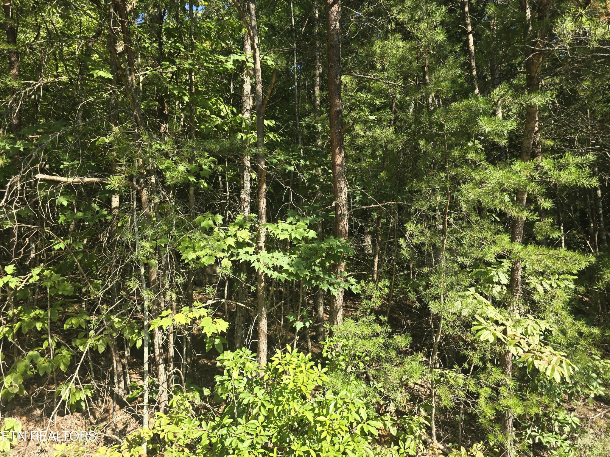 29 Byron Lane Crossville TN 38558