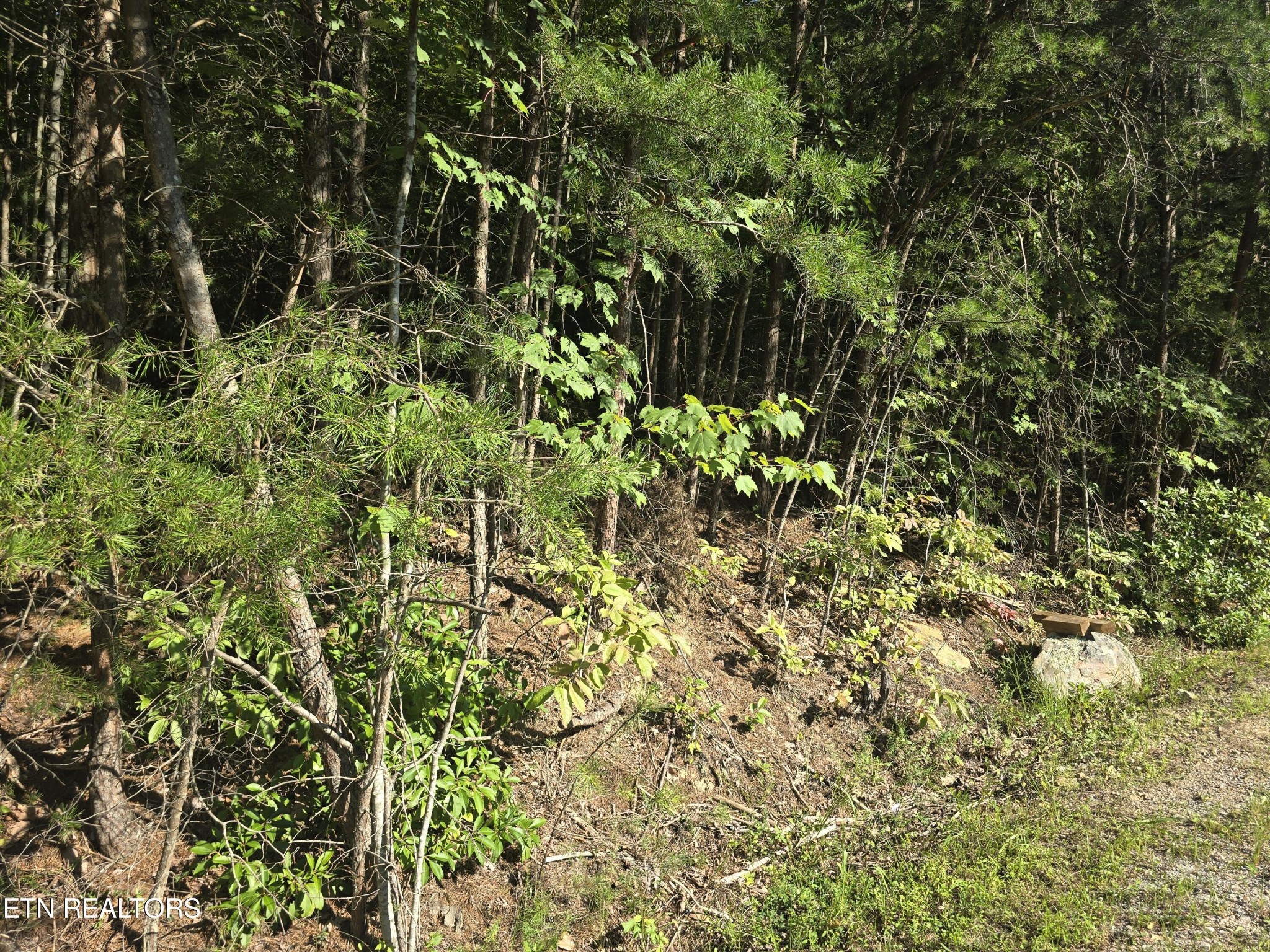 29 Byron Lane Crossville TN 38558