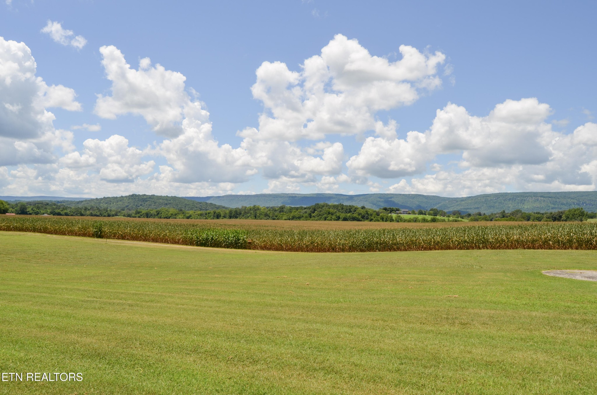 241 Terry Road Pikeville TN 37367