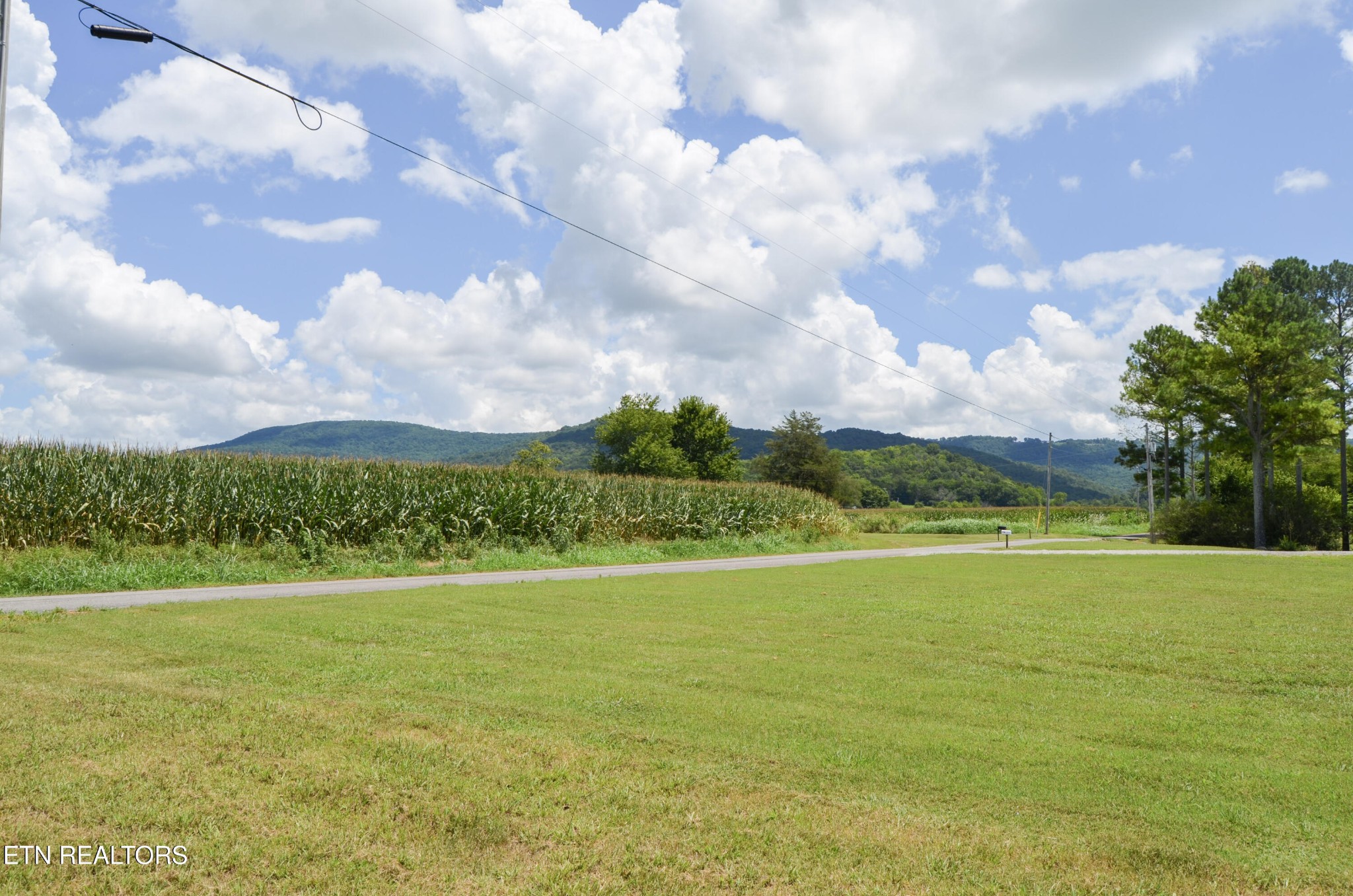 241 Terry Road Pikeville TN 37367