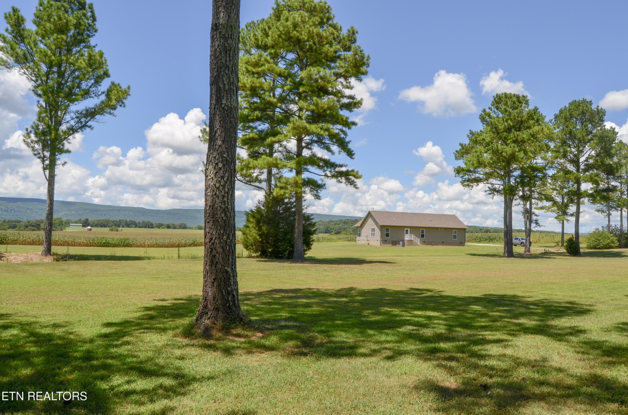 241 Terry Road Pikeville TN 37367