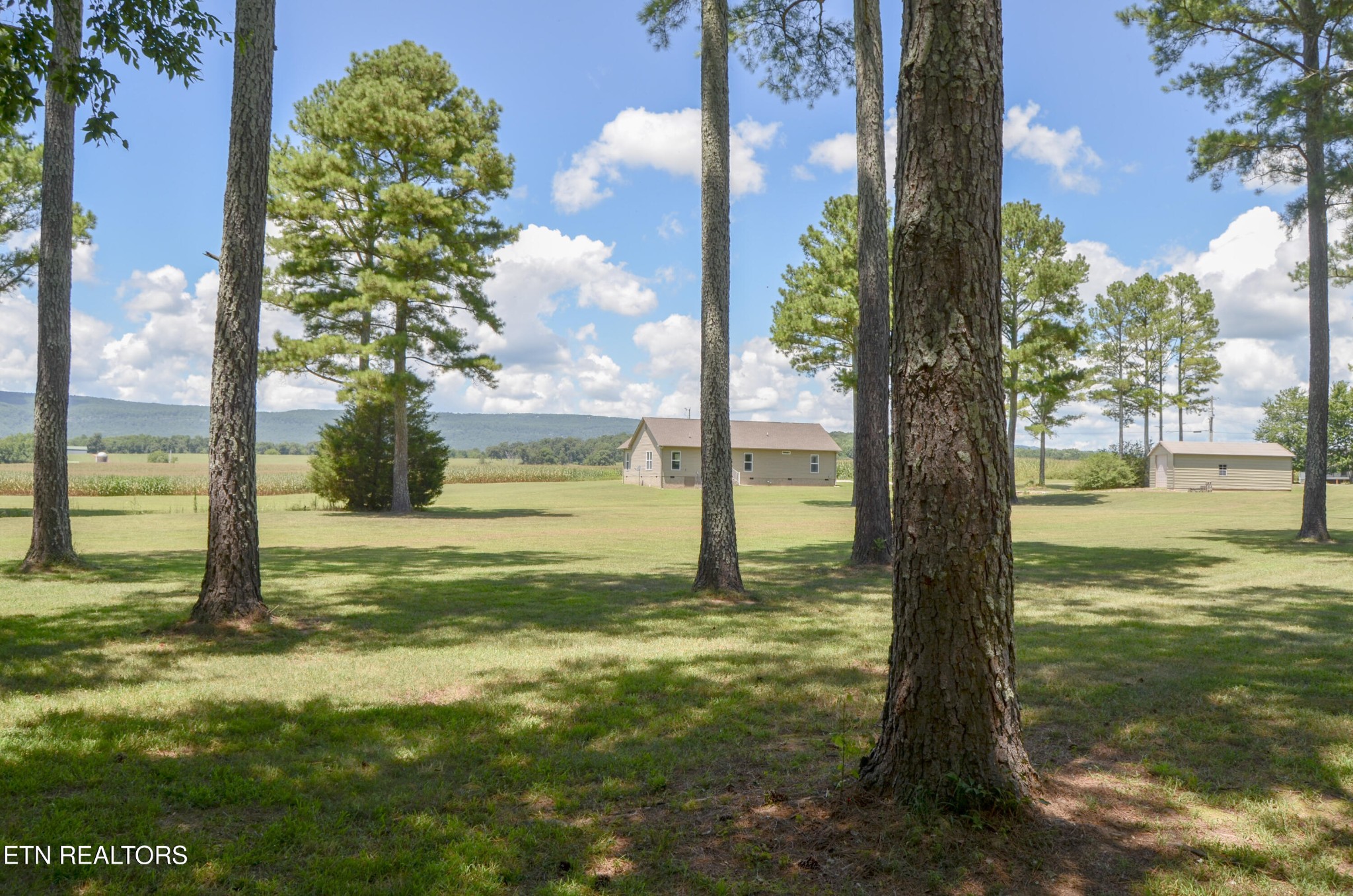 241 Terry Road Pikeville TN 37367