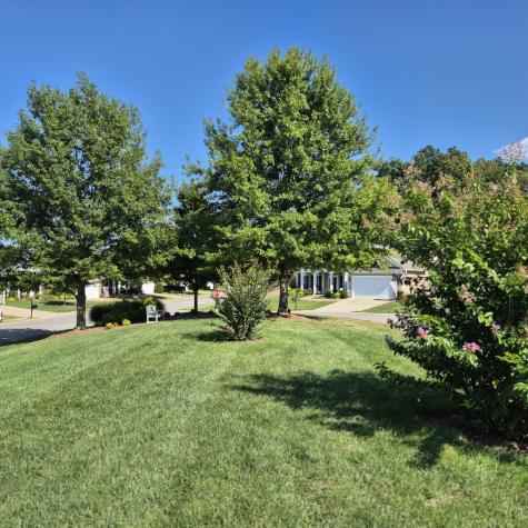 134 Dahlgren Drive Mount Juliet TN 37122