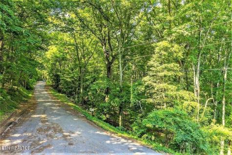 0 Eagle Ridge Lane Jefferson City TN 37760