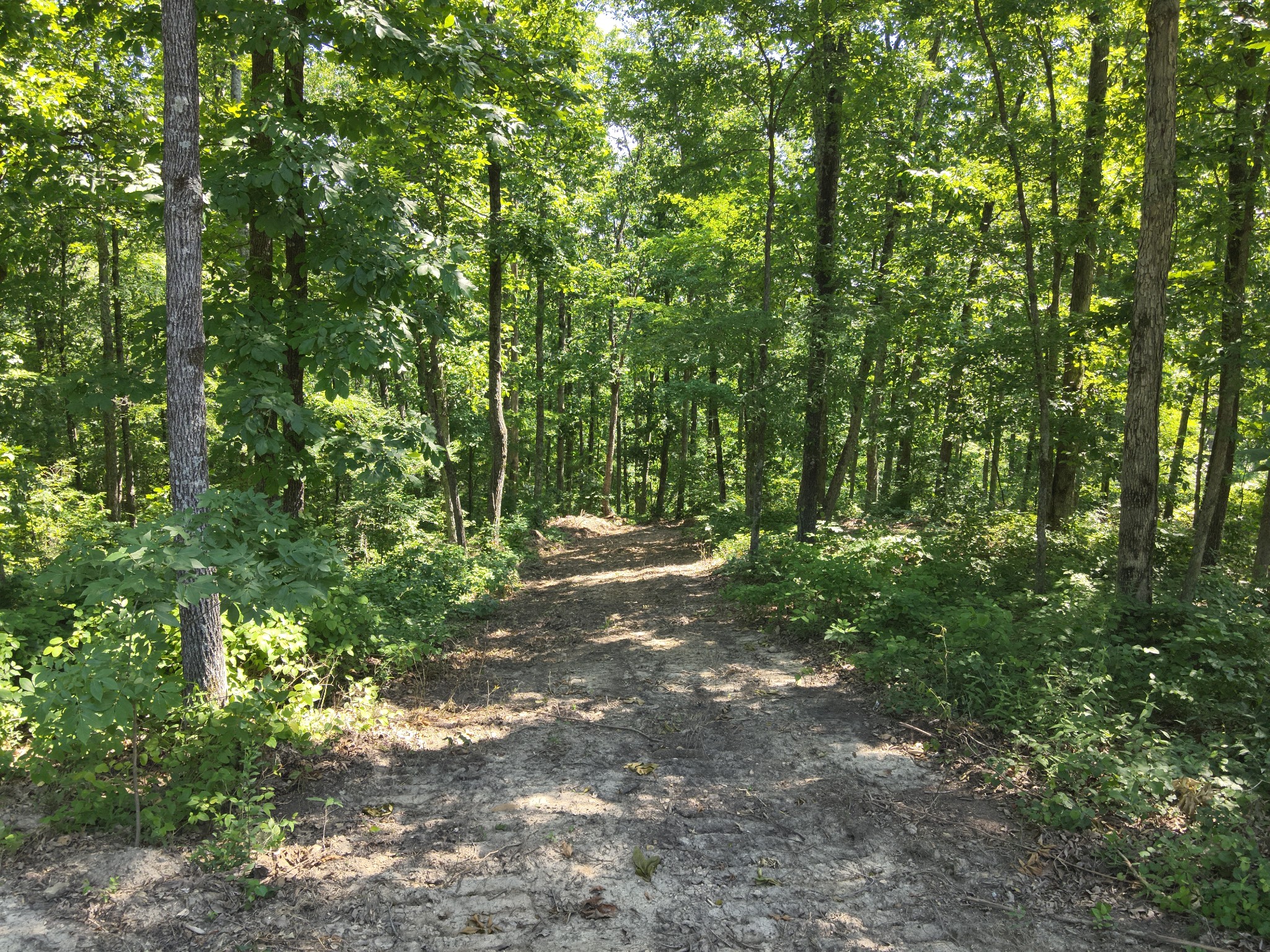 0 Bear Creek Road Waverly TN 37185