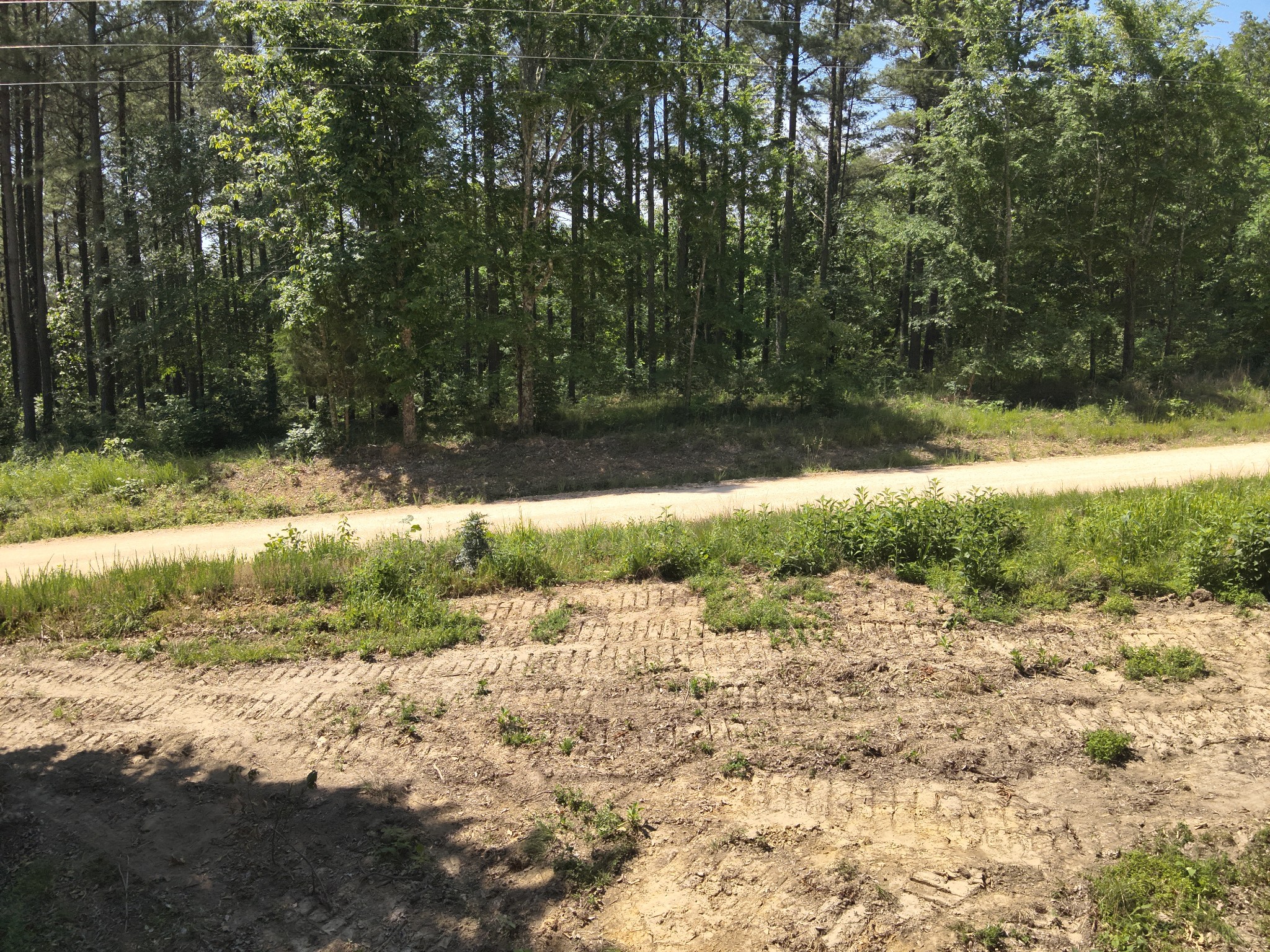 0 Bear Creek Road Waverly TN 37185