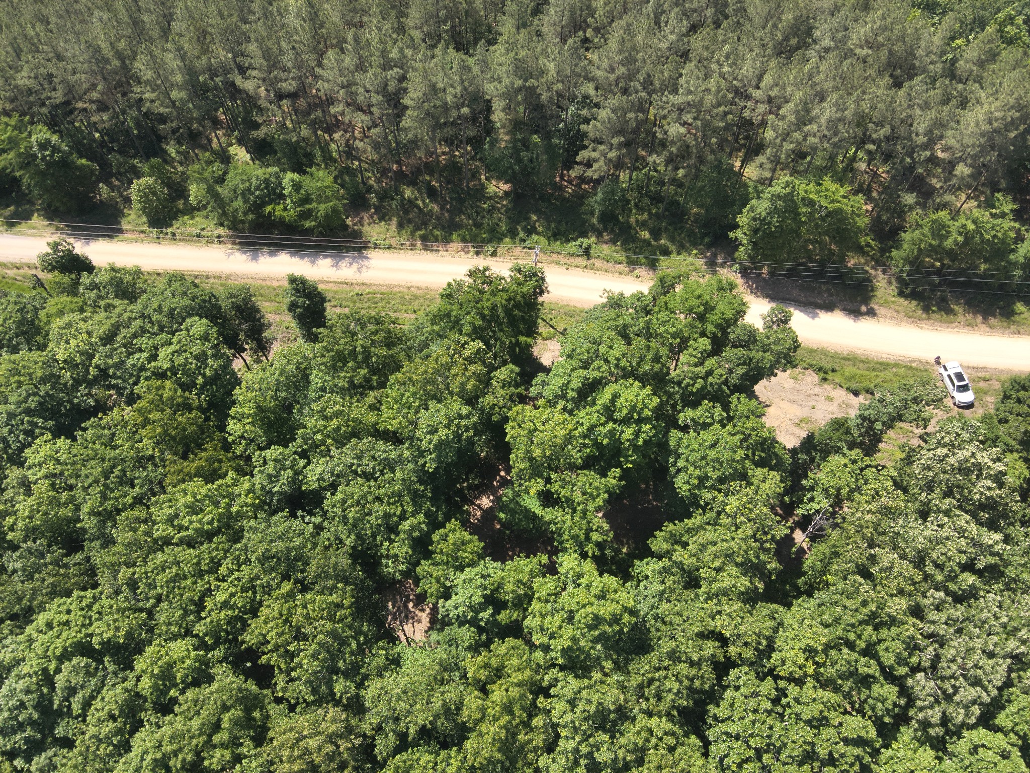 0 Bear Creek Road Waverly TN 37185