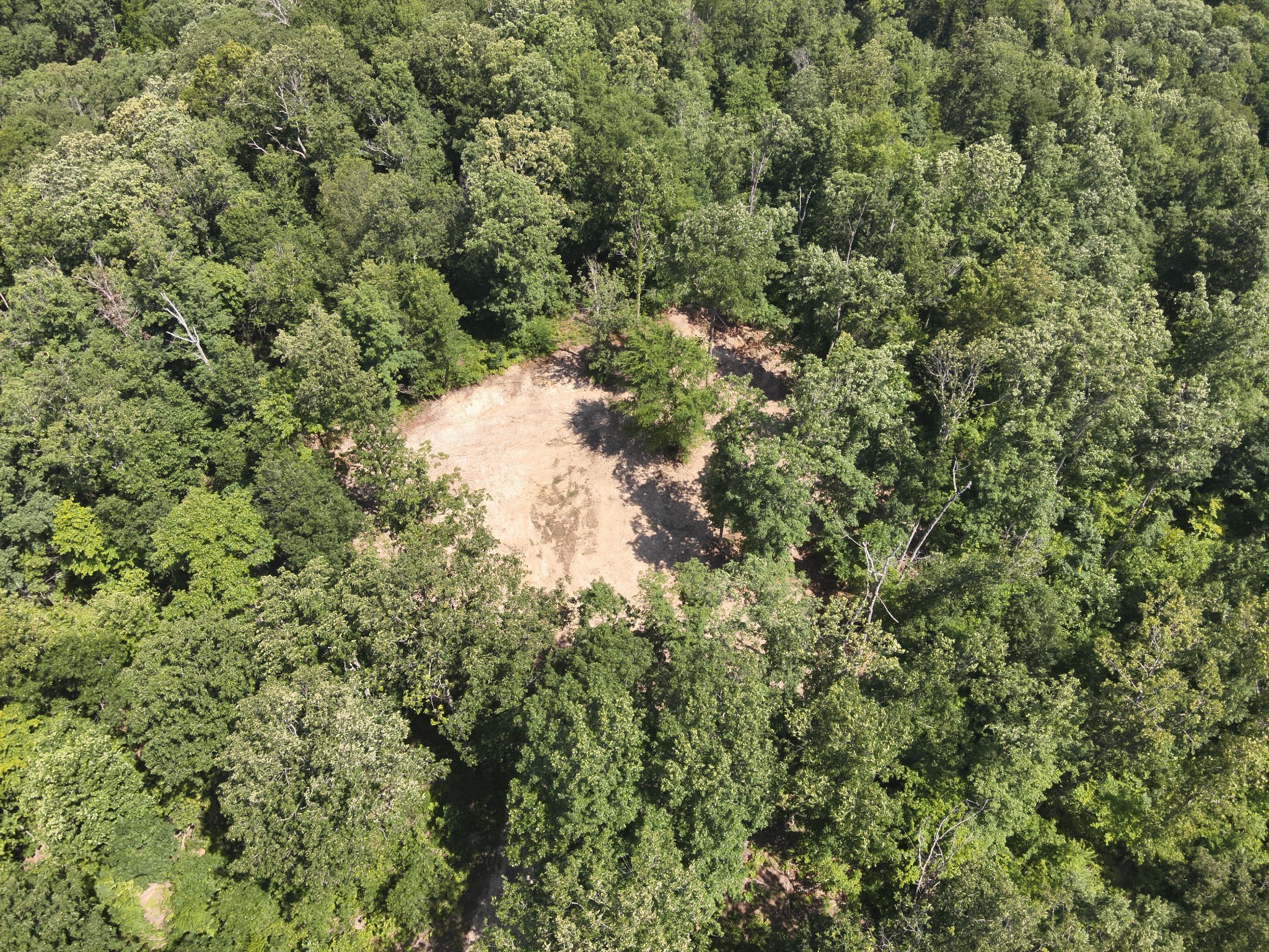 0 Bear Creek Road Waverly TN 37185