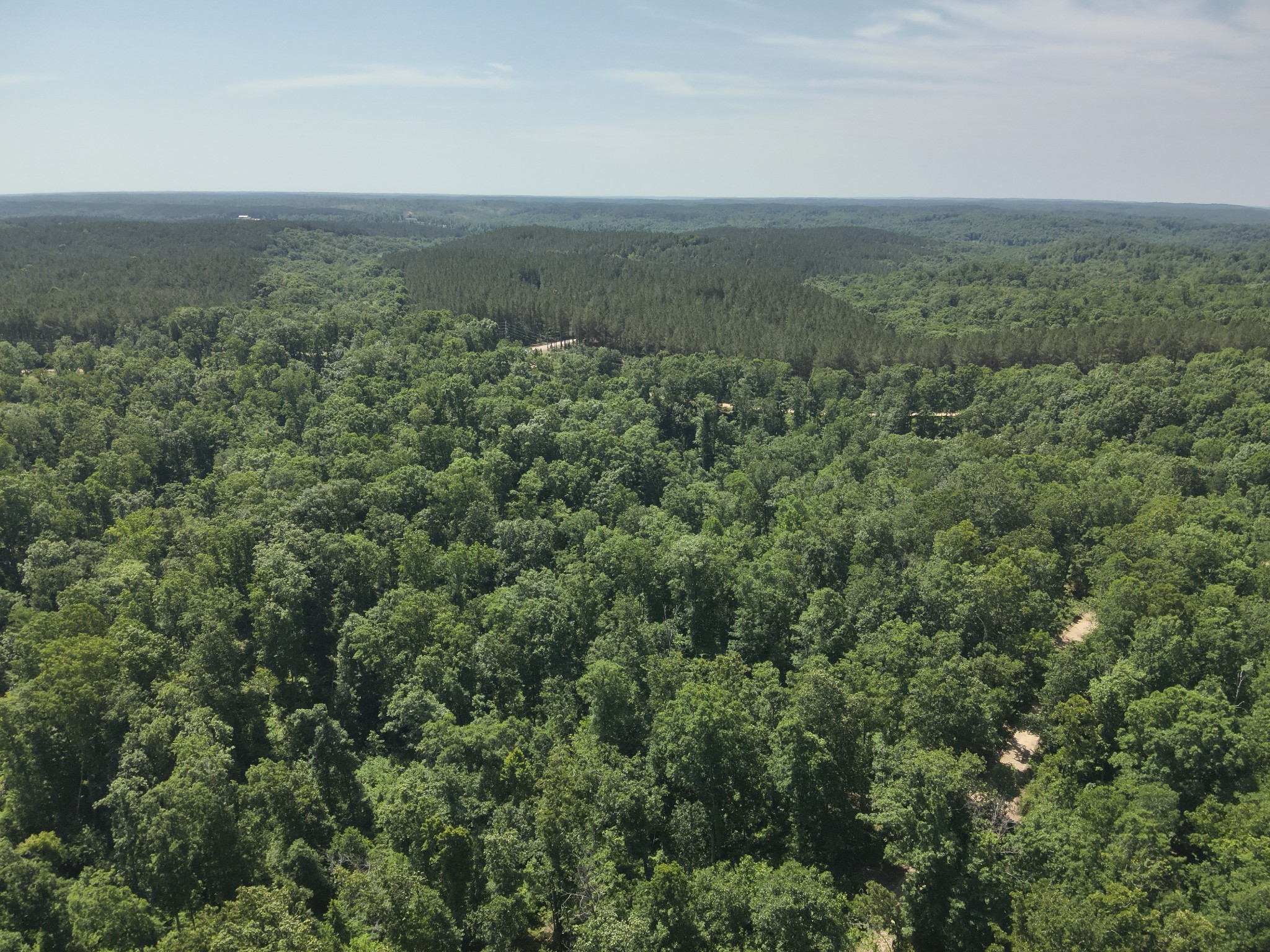0 Bear Creek Road Waverly TN 37185