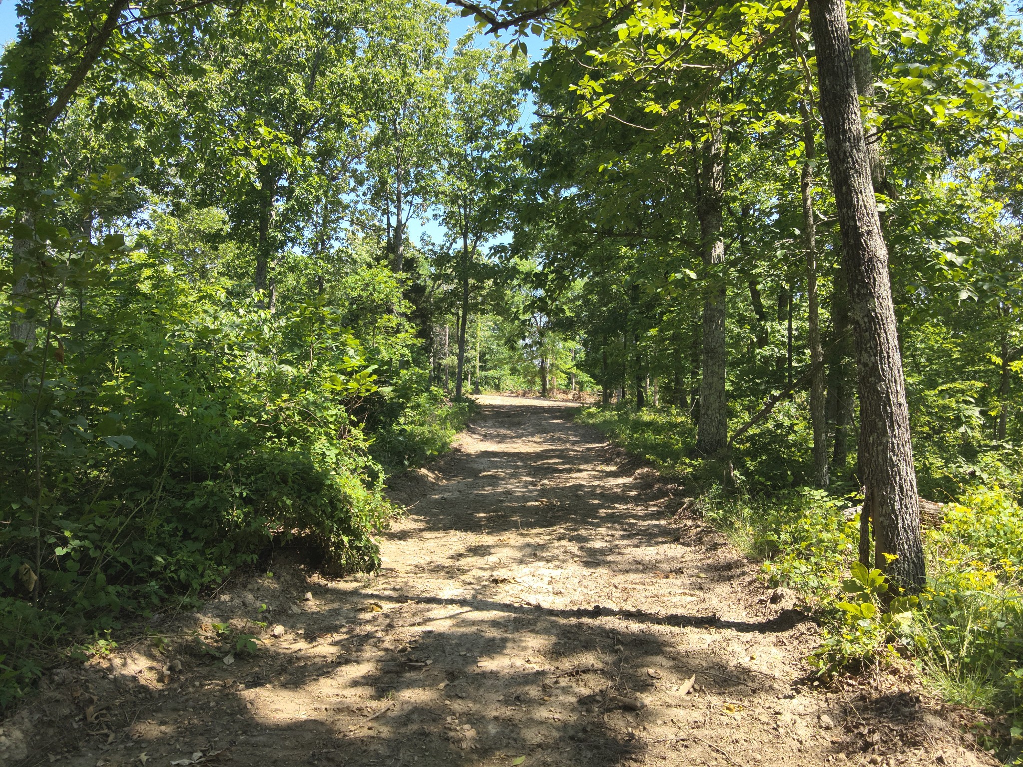 0 Bear Creek Road Waverly TN 37185