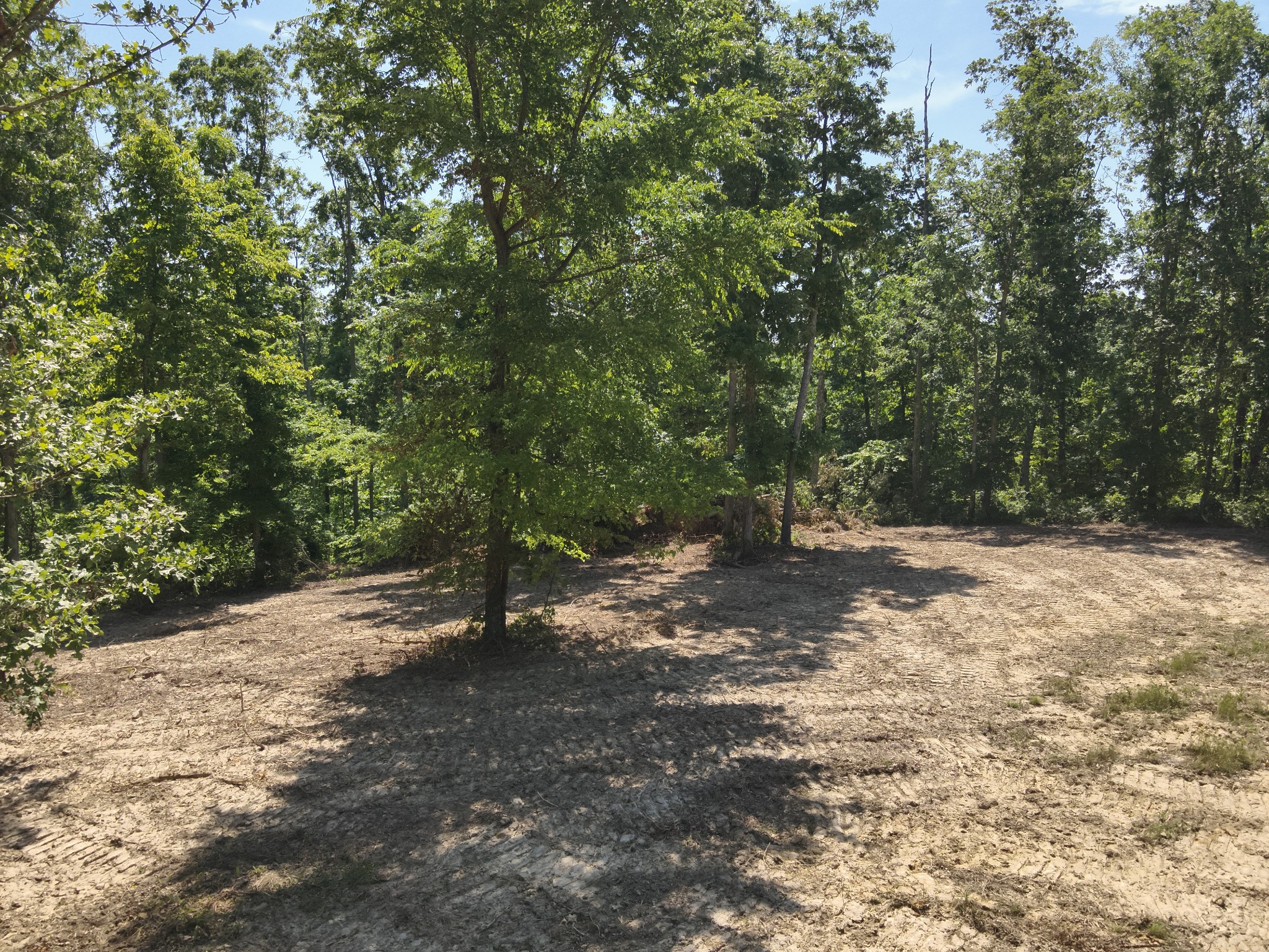0 Bear Creek Road Waverly TN 37185