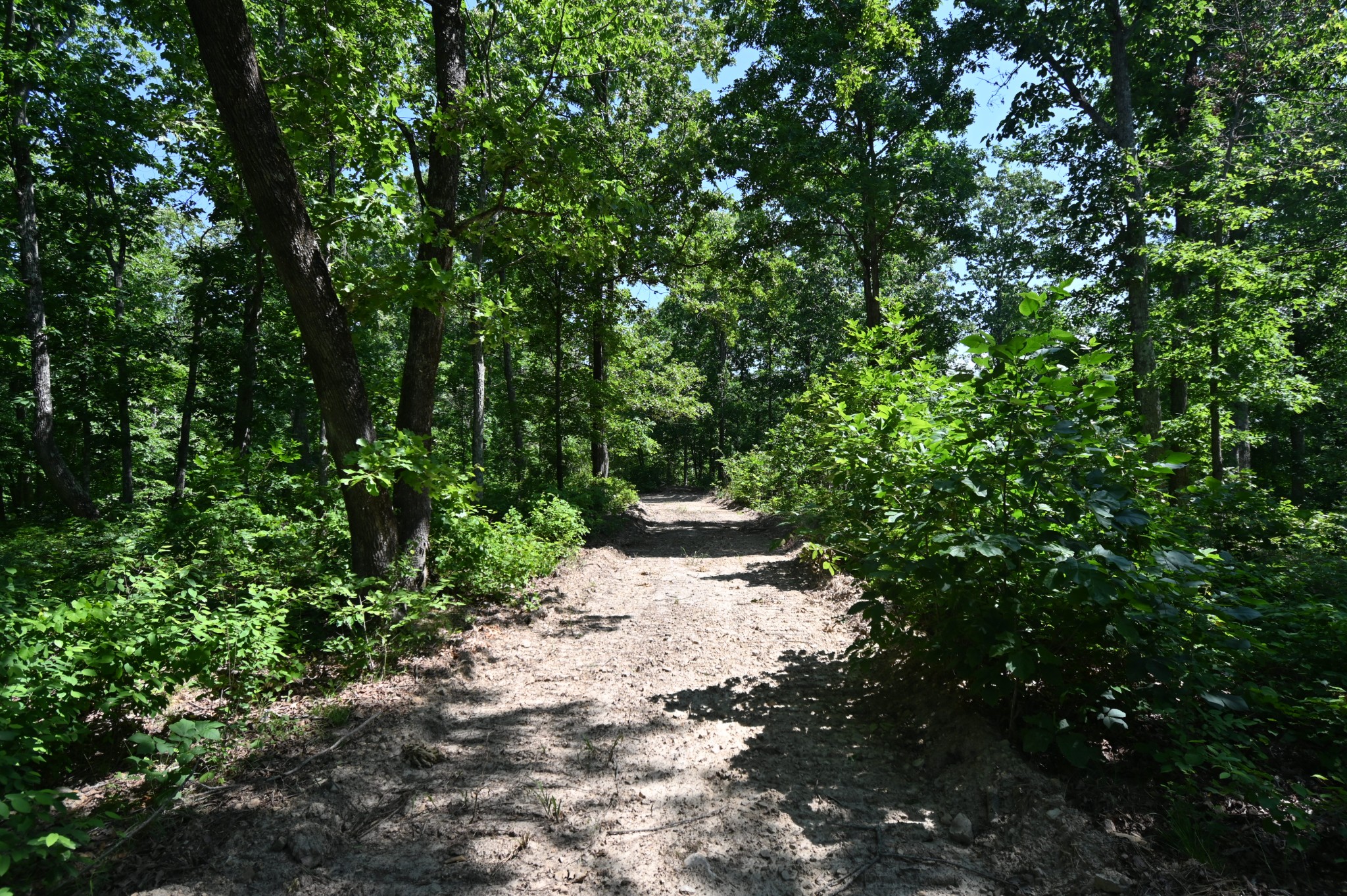 0 Bear Creek Road Waverly TN 37185