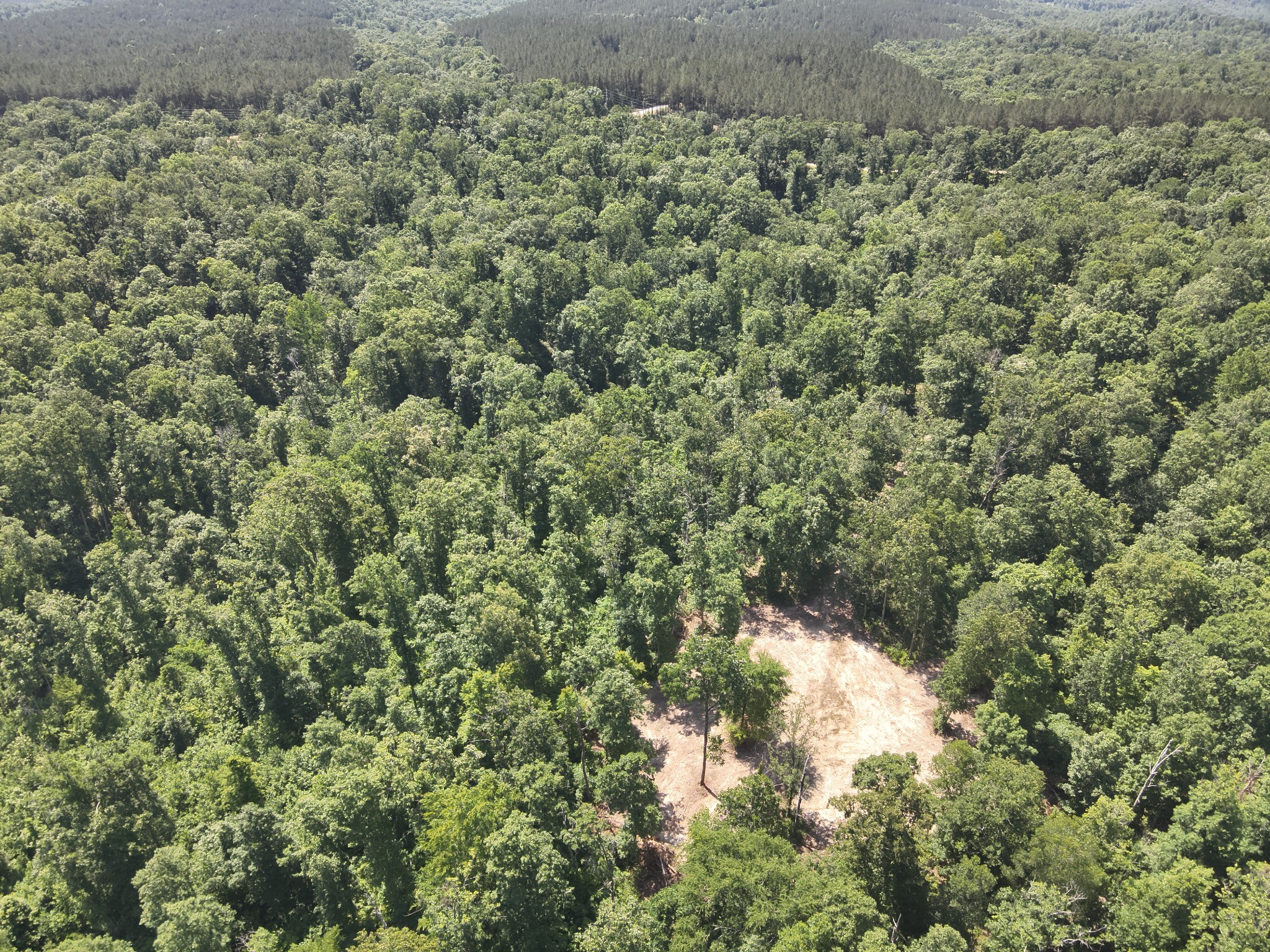 0 Bear Creek Road Waverly TN 37185